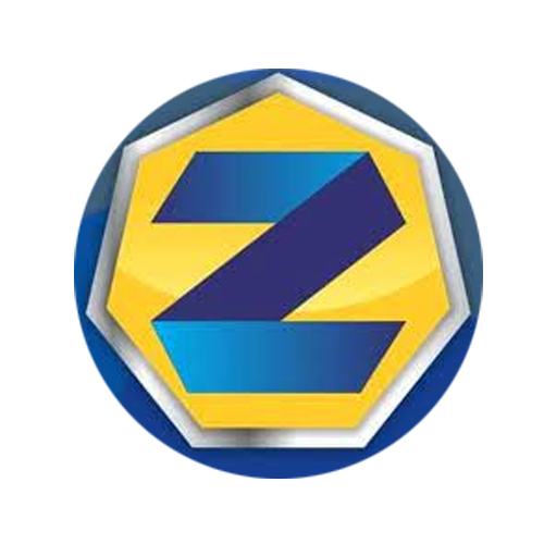 Zanini