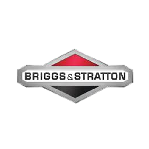 Briggs & Stratton