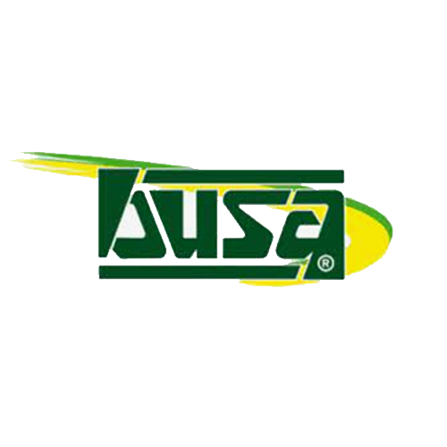 Busa